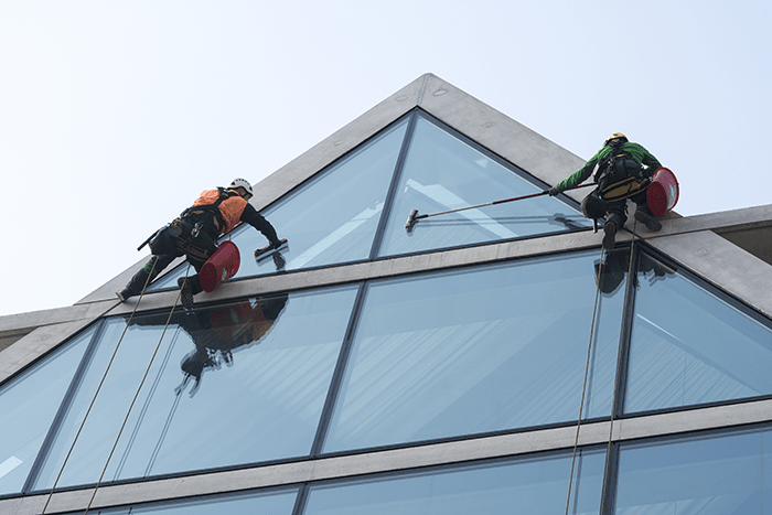 Two workers rappelling and cleaning a glass facade.
