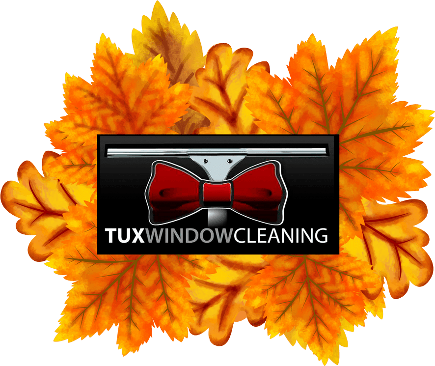 tuxwindowcleaning