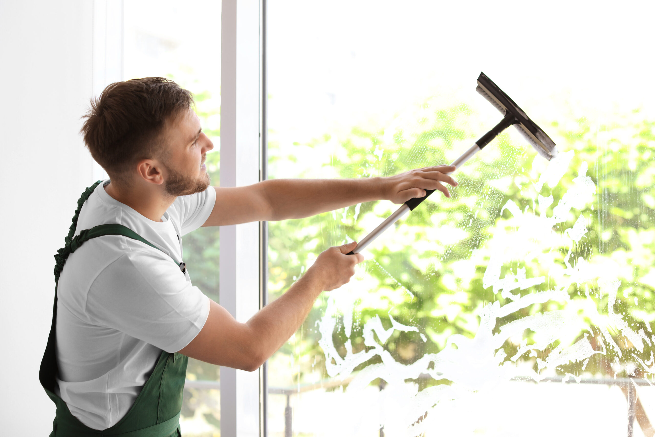 Featured image for “Benefits of Residential Window Cleaning for Allergy Season”
