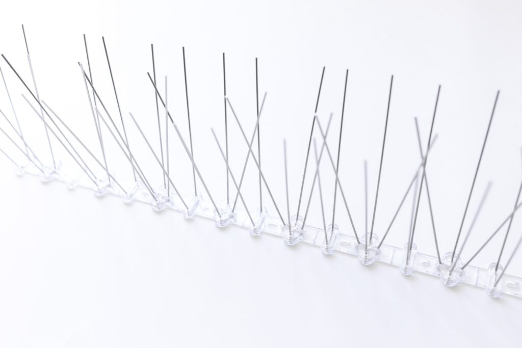 Image of Anti Bird Spike for Get Rid of Pigeons and Scare Birds Pest Control